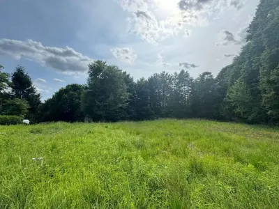 Grundstück kaufen in Hartberg-Fürstenfeld – 8 333 m², € 132.000 – Bild 5 von 14