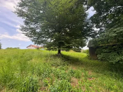 Grundstück kaufen in Hartberg-Fürstenfeld – 8 333 m², € 132.000 – Bild 12 von 14