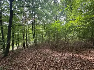 Grundstück kaufen in Hartberg-Fürstenfeld – 8 333 m², € 132.000 – Bild 9 von 14