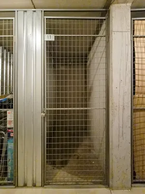 2-Zimmer-Wohnung mieten in Wiener Neustadt Land – 44 m², € 650 – Bild 9 von 10