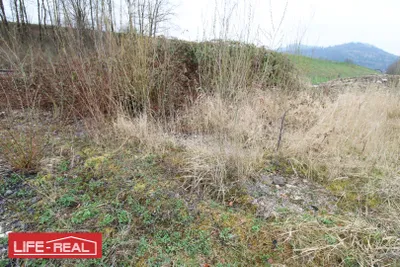 Immobilie mieten in Kirchdorf an der Krems – 4 794 m², € 2.400 – Bild 3 von 4