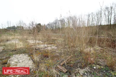 Immobilie mieten in Kirchdorf an der Krems – 4 794 m², € 2.400 – Bild 2 von 4