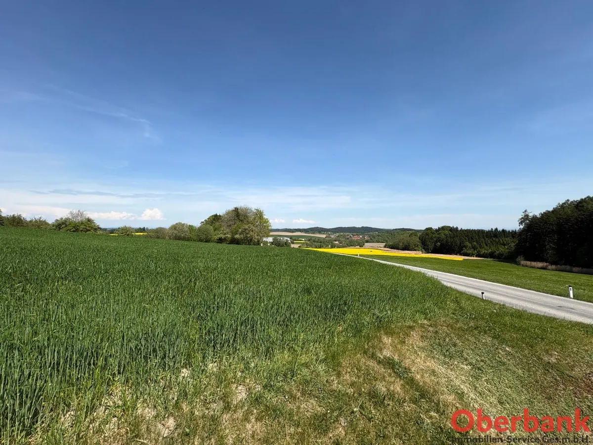Baugrund in grüner Siedlungsrandlage - Ansicht 2