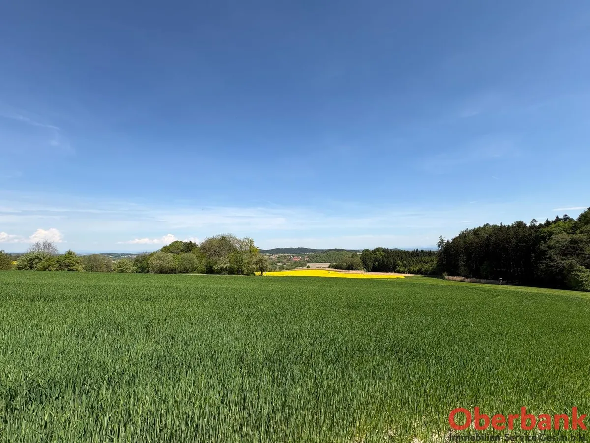 Baugrund in grüner Siedlungsrandlage - Ansicht 3