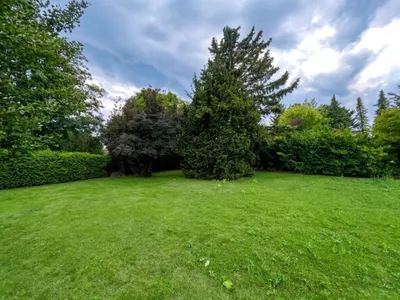 6-Zimmer-Haus kaufen in Wiener Neustadt Land – 186,77 m², € 498.000 – Bild 10 von 32