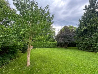 6-Zimmer-Haus kaufen in Wiener Neustadt Land – 186,77 m², € 498.000 – Bild 11 von 32