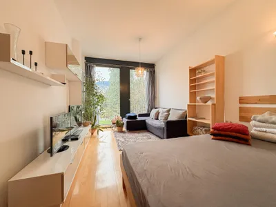1-Zimmer-Wohnung mieten in Dornbirn – 36,25 m², € 1.050 – Bild 2 von 12