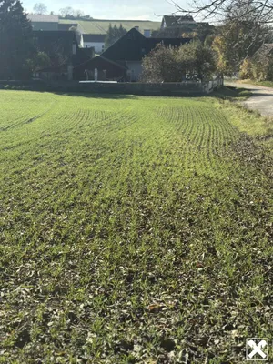 Grundstück kaufen in Tulln – 665 m², € 87.620 – Bild 3 von 5
