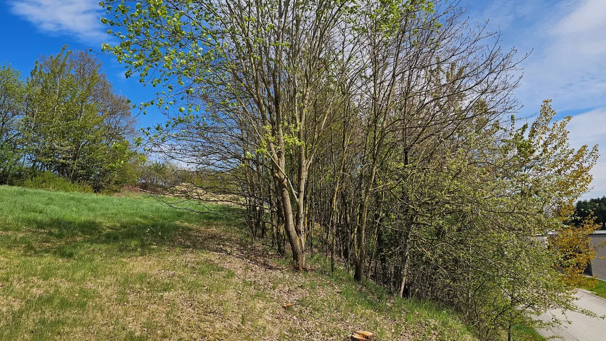 Grundstück mit herrlicher Aussicht - Ansicht 2