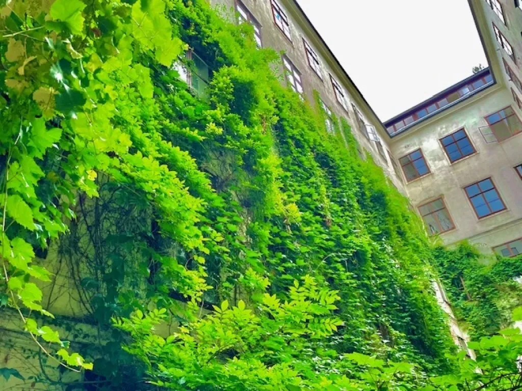 Apartment in Wien, Sankt Ulrich, Katastralgemeinde Neubau - Ansicht 2
