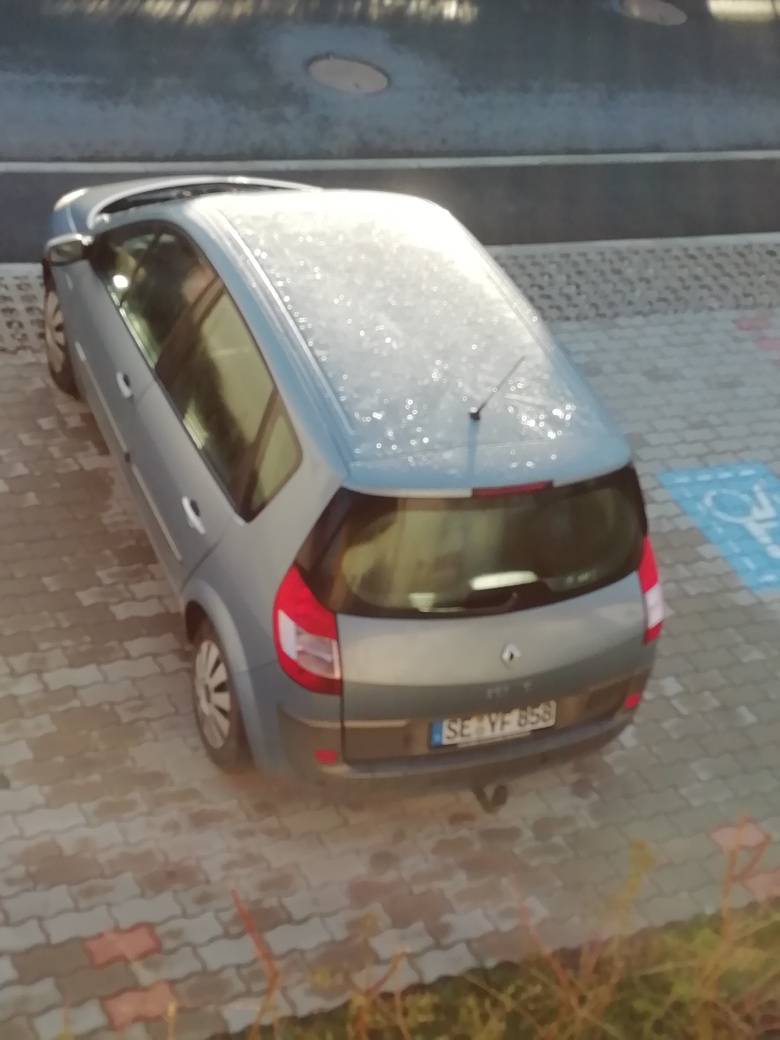 Renault Scénic