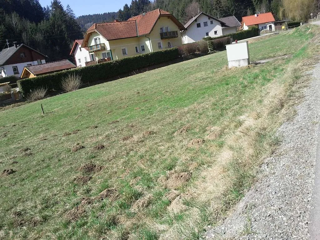 Privat-Baugrund nähe St. Andräer See Freizeitanlage - View 3