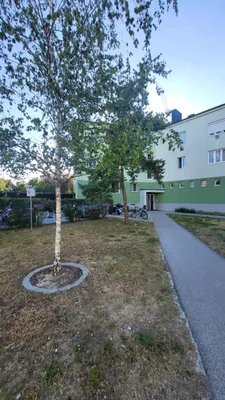 2-Zimmer-Wohnung mieten in Wiener Neustadt – 46 m², € 620 – Bild 15 von 24