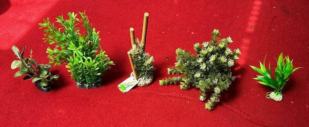 blumenkasten hecke Heckenelement in Hartholz-Pflanzkasten, hoch | kaufen