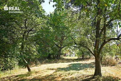 3-Zimmer-Haus kaufen in Oberwart – 76 m², € 99.000 – Bild 28 von 29