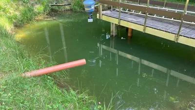 Immobilie mieten in Perg – 150 m², € 1.500 – Bild 12 von 14