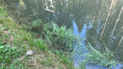 Immobilie mieten in Perg – 150 m², € 1.500 – Bild 13 von 14