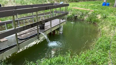 Immobilie mieten in Perg – 150 m², € 1.500 – Bild 11 von 14