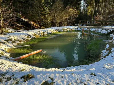 Immobilie mieten in Perg – 150 m², € 1.500 – Bild 7 von 14
