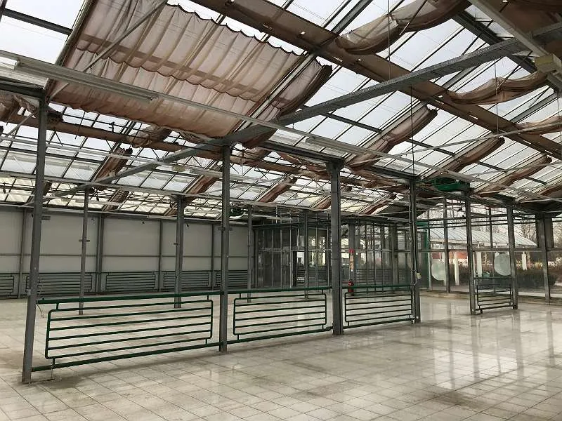 Lager- und Hallenflächen Graz - Messendorf - Ansicht 2