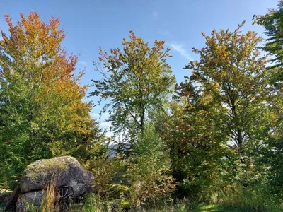 Haus kaufen in Perg – 250 m², € 320.000 – Bild 12 von 44