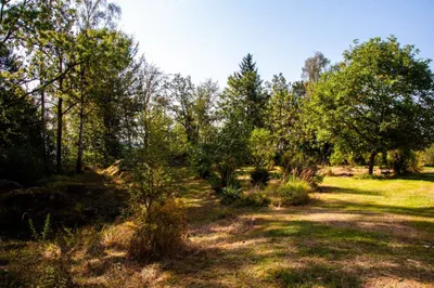Haus kaufen in Perg – 250 m², € 320.000 – Bild 35 von 44