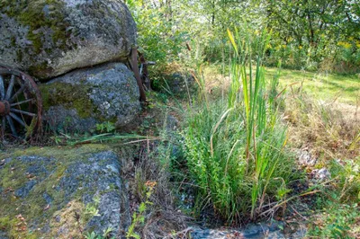 Haus kaufen in Perg – 250 m², € 320.000 – Bild 38 von 44