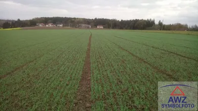 Grundstück kaufen in Horn – 125 000 m²
