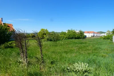 Grundstück kaufen in Eisenstadt - Umgebung – 820 m², € 195.000 – Bild 1 von 3