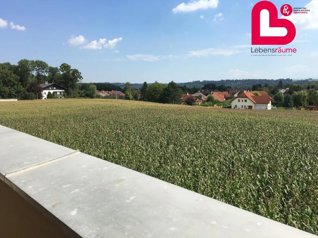 2 kambarių butas, 85 m²
