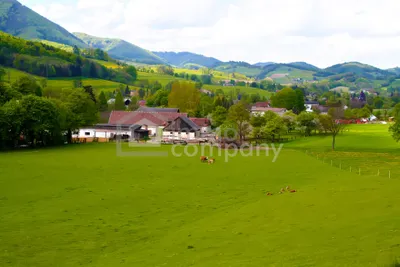 4-Zimmer-Haus kaufen in Baden – 120 m², € 265.000 – Bild 5 von 26