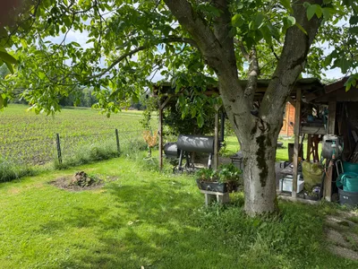 Immobilie kaufen in Linz Land – 550 m², € 85.000 – Bild 4 von 6