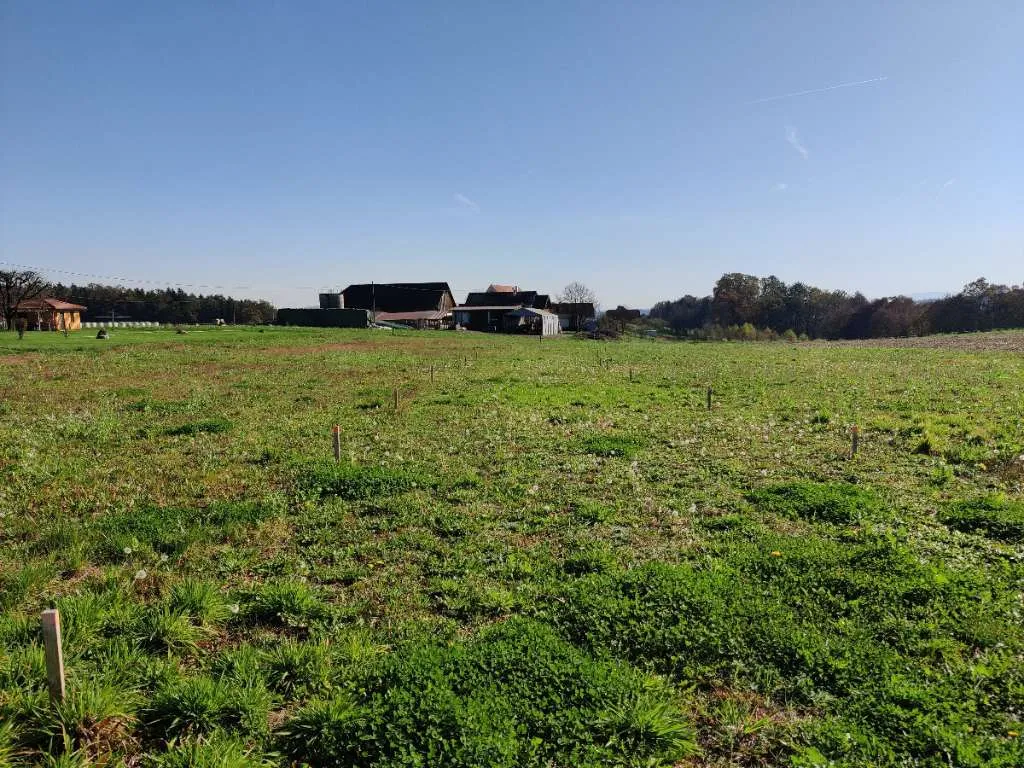 Plateulage in der Weststeiermark - Ansicht 2