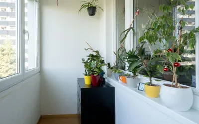Wohnung mieten in Linz – 68,97 m², € 774 – Bild 11 von 17