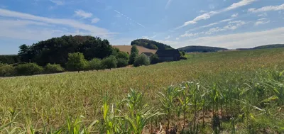7-Zimmer-Immobilie kaufen in Krems Land – 190 m², € 600.000 – Bild 4 von 44