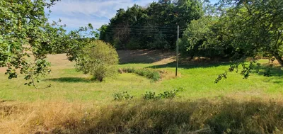 7-Zimmer-Immobilie kaufen in Krems Land – 190 m², € 600.000 – Bild 6 von 44