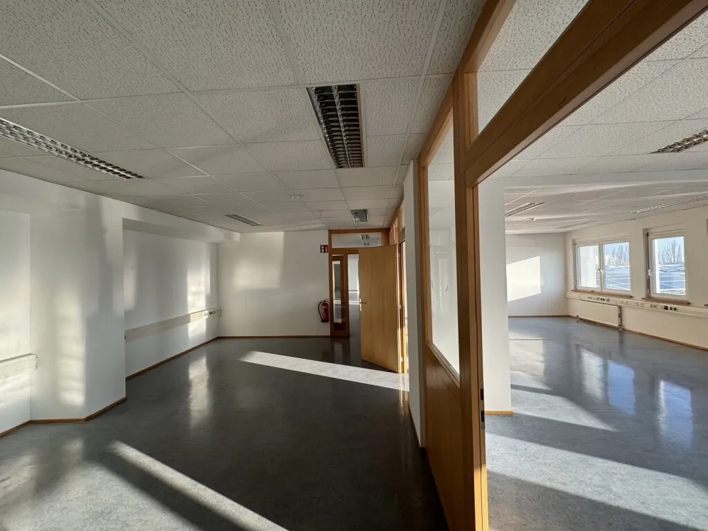 399 m² Büro in Wiener Neudorf | Parkplätze verfügbar | Nähe A2 - Vista 3