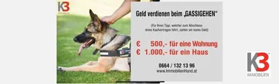 8-Zimmer-Gewerbeimmobilie kaufen in Salzburg Stadt – 260 m², € 1.595.000 – Bild 4 von 6