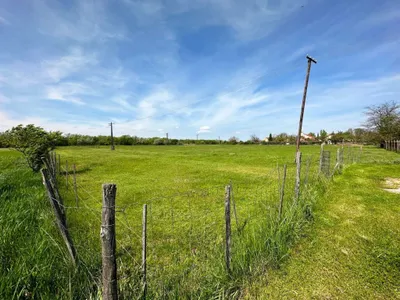 Grundstück kaufen in Neusiedl am See – 9 285 m², € 232.125 – Bild 3 von 6