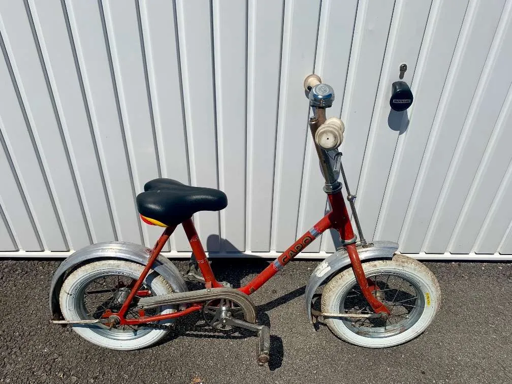 urban bike tech FamilyNext Pro (100Nm) Freilauf mile range for long Ns Rag+ 1 Bicycle Color:70s Circle