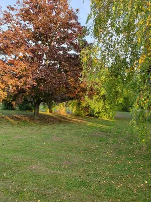 Haus kaufen in Bruck an der Leitha – 75 m², € 1.500.000 – Bild 2 von 5
