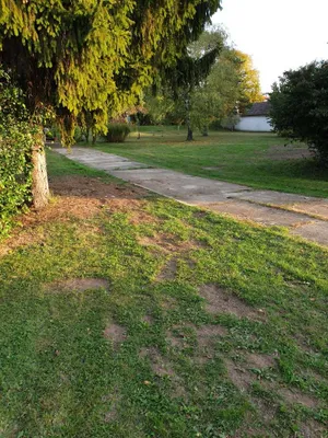 Haus kaufen in Bruck an der Leitha – 75 m², € 1.500.000 – Bild 4 von 5