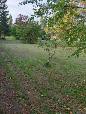 Haus kaufen in Bruck an der Leitha – 75 m², € 1.500.000 – Bild 3 von 5