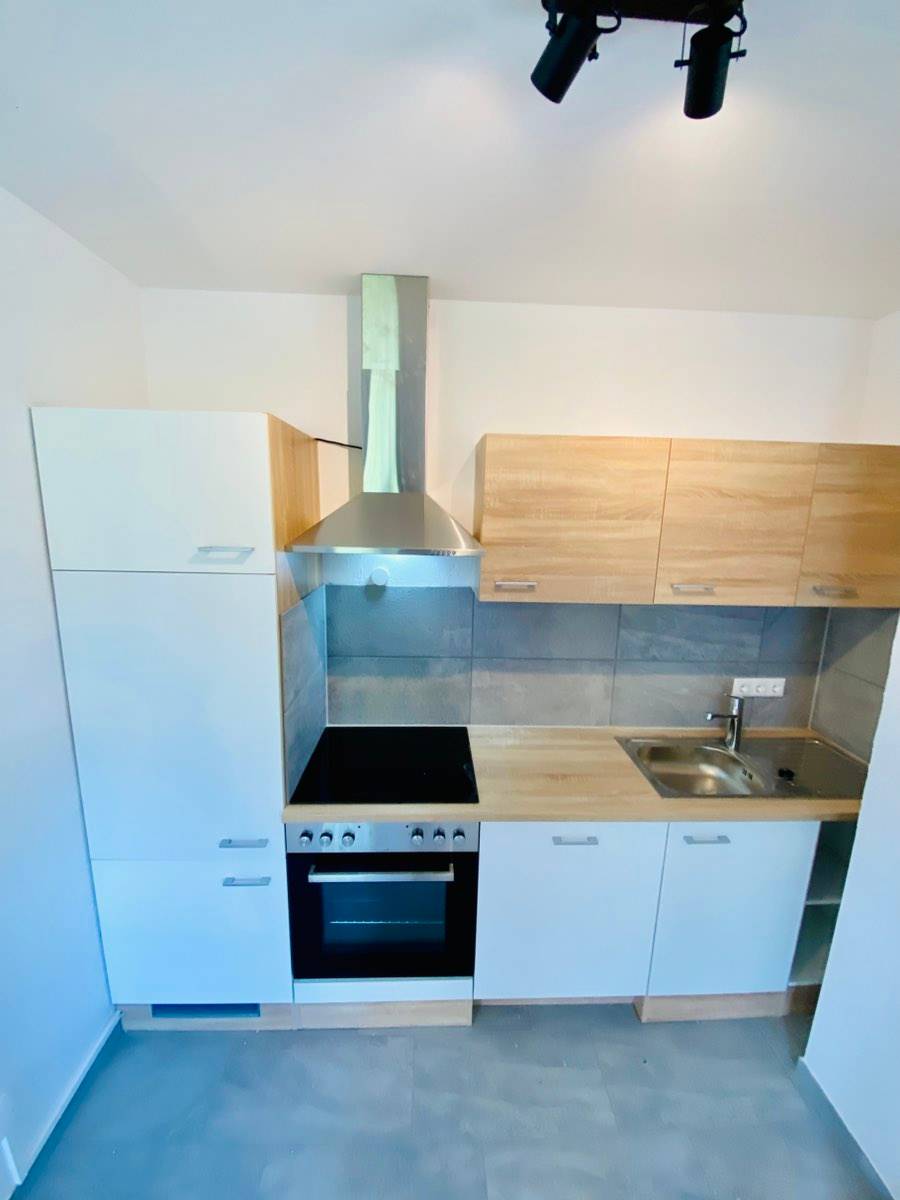 Zentrumsnahe ruhige Wohnung an der Traun mit PKW Stellplatz - Ansicht 2