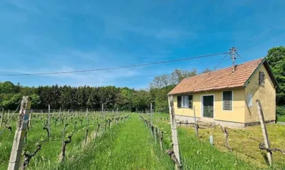 2-Zimmer-Wohnung kaufen in Oberwart – 24 m², € 79.900 – Bild 3 von 14