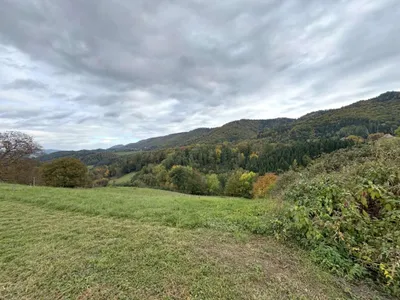 Grundstück kaufen in Leibnitz – 6 444 m², € 390.000 – Bild 2 von 2
