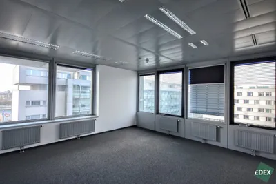 Gewerbeimmobilie mieten in Wien – 447 m², € 15 – Bild 3 von 8