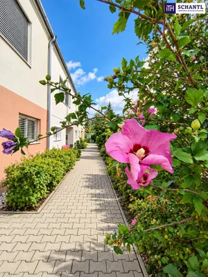 5-Zimmer-Haus kaufen in Wien – 150 m², € 680.000 – Bild 13 von 16