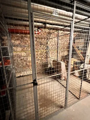 2-Zimmer-Wohnung mieten in Wien – 63,2 m², € 1.250 – Bild 17 von 25
