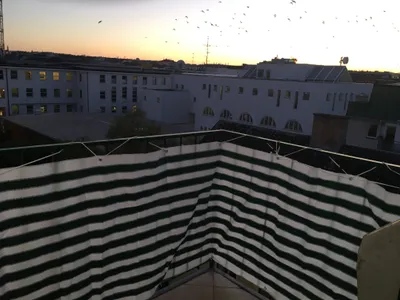 2-Zimmer-Wohnung mieten in Wien – 52 m², € 1.250 – Bild 8 von 10